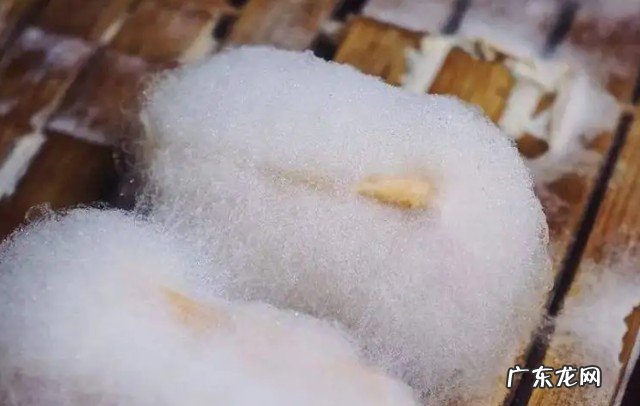 去黄山必点的7道徽菜推荐 安徽黄山特产美食有哪些