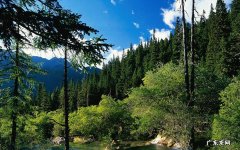 宝宝鼻塞可以打预防针吗 八个月宝宝鼻塞小妙招