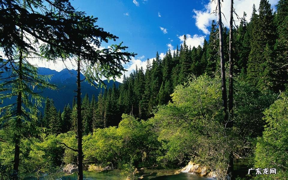 宝宝鼻塞可以打预防针吗 八个月宝宝鼻塞小妙招