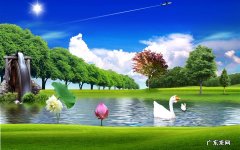 土豆酸奶减肥法 白水鸡蛋黄瓜减肥