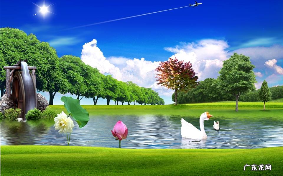 土豆酸奶减肥法 白水鸡蛋黄瓜减肥