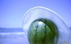 业余健身爱好者 14天蛋白质减肥法