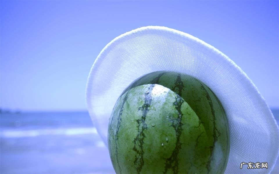 业余健身爱好者 14天蛋白质减肥法