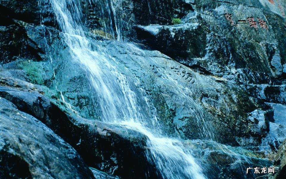 蜂蜜和葱可以一起吃吗 蜂蜜加葱能吃吗