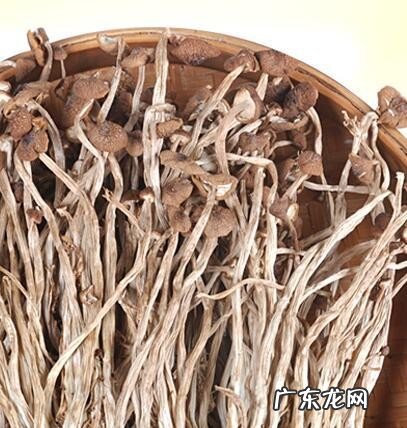 孕妇吃茶树菇有什么好处 孕妇能吃茶树菇吗