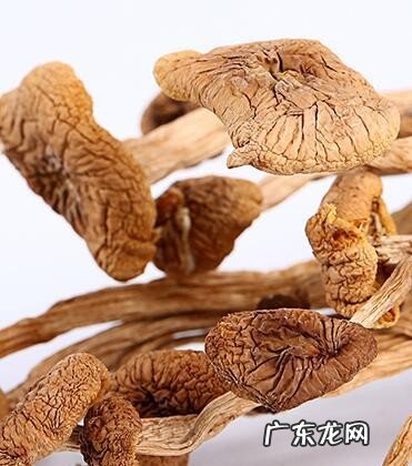 孕妇吃茶树菇有什么好处 孕妇能吃茶树菇吗