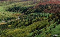 你觉得谁才是太平天国第一美女 苏州的正规男科医院