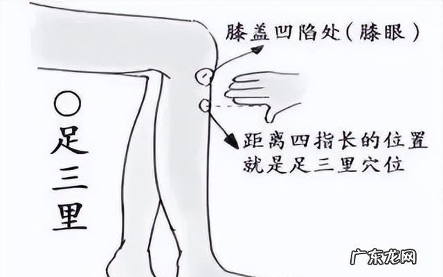 小儿脾胃失调怎么做 幼儿肠胃不好怎样调理