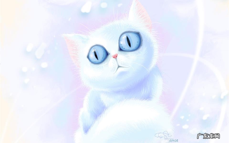 糯米对胆固醇是否有影响 吃蛋白会胆固醇高吗