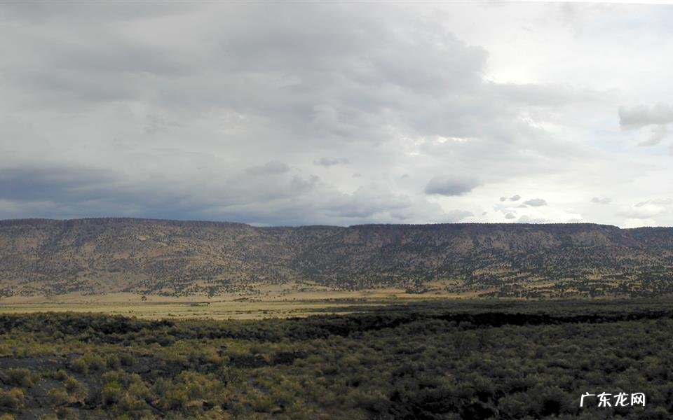 俄罗斯是真的穷吗 世界各国人均牛奶消费量2020