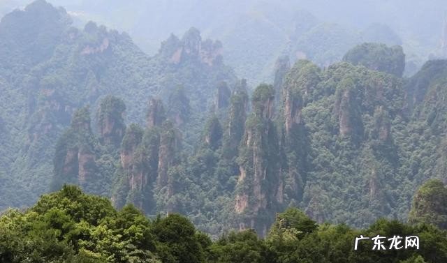 张家界景区内的精华景点推荐 张家界主要景点有哪些