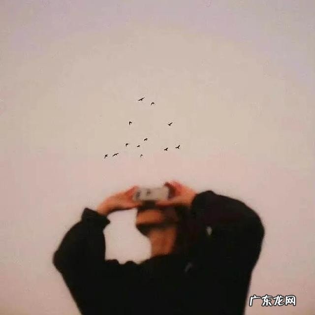 牛奶燕麦粥的好处 牛奶燕麦的功效与作用有什么