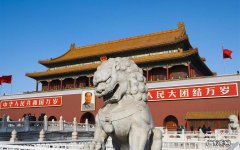 狗狗发高烧怎么降温 发烧到40度如何处理