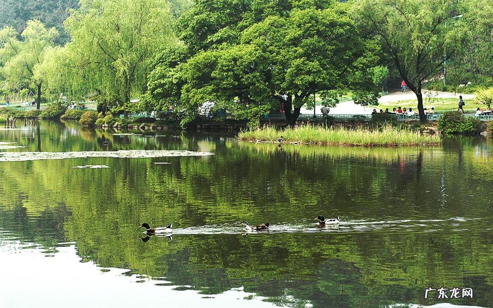 听说有人会在酒店热水壶里煮 寻常疣中药泡脚的流程