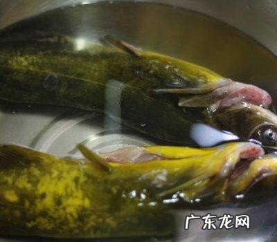 如何预防艾滋病 艾滋病的预防措施介绍
