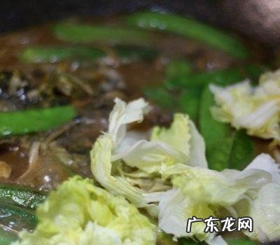 家常红烧嘎鱼怎么做好吃 红烧嘎鱼的做法教程分享