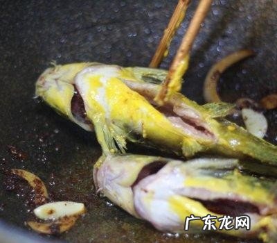 家常红烧嘎鱼怎么做好吃 红烧嘎鱼的做法教程分享