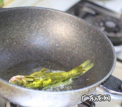家常红烧嘎鱼怎么做好吃 红烧嘎鱼的做法教程分享
