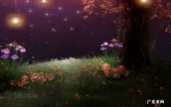蒲公英和什么搭配泡水喝最好 哪些东西泡水喝养胃