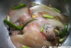 煎烧鼓眼鱼的做法 鼓眼鱼怎么做好吃