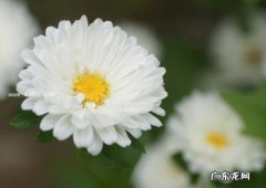 粤菜菜系的特点 粤菜有什么特点呢