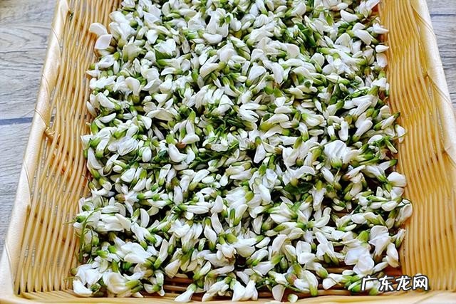 科普洋槐花到底是什么 白槐花的功效与作用有什么