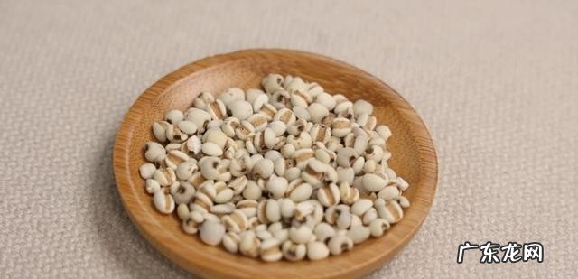 湿气重可以常吃哪些食物 吃什么可以去湿气排毒