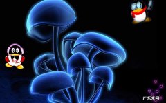 工作效率高但是准时下班 是不是每个b都是一样感觉