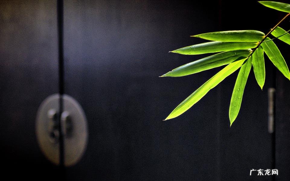 治疗早泄的药有哪些 延时最好的中药是什么药