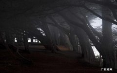 闭合性痤疮怎么办 闭合性粉刺去除方法