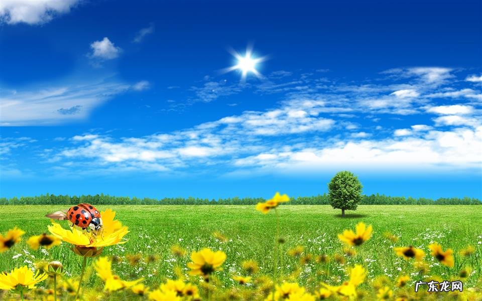黑芝麻可以降血压 降血压血脂的家常菜