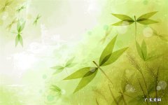 这些特征与生物遗传稳定性有何关系 基因存储骗局