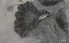 糖尿病患者宜选择哪些五谷杂粮 糖尿病适合吃什么粗粮