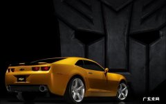 以鸡肉为主食的菜名有多少呢 100鸡肉营养成分