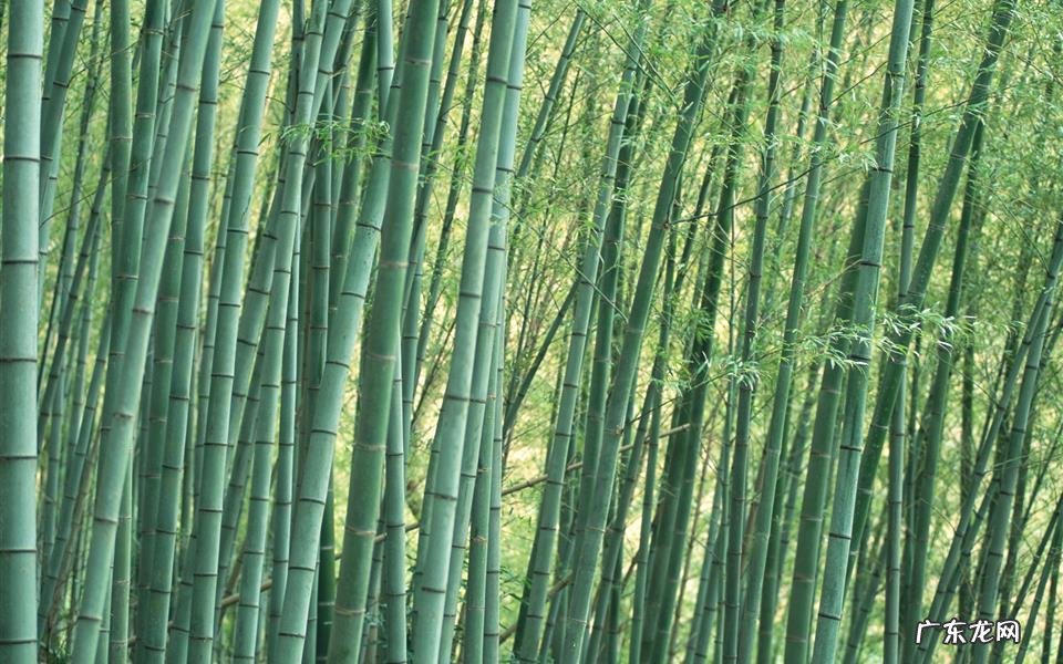 注射胰岛素的注意事项有哪些 胰岛素伤害肾脏和肝脏吗