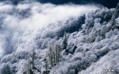 让你拉出10天旧便 蜂蜜香蕉和醋减肥法