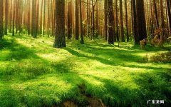 相手蟹蜕壳后吃什么 吃了死螃蟹怎么解解毒