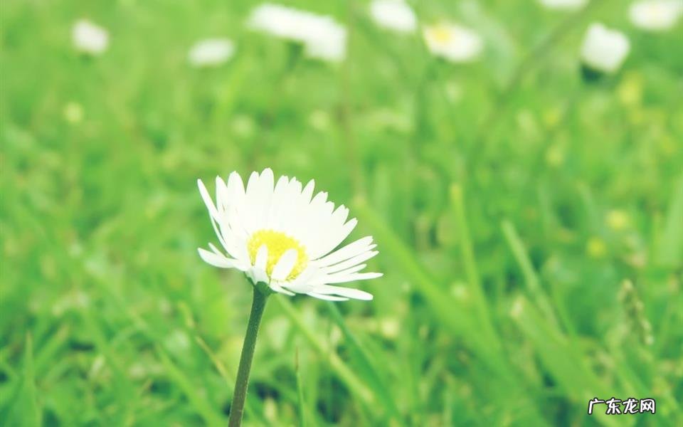 香蕉和蜂蜜可以一起吃吗 香蕉苹果蜂蜜可以一起吃吗