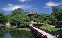 2020年还能养鳖吗 甲鱼多少钱一斤市场价2020