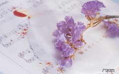 孟鲁司特钠是什么药 烦躁易怒吃什么药