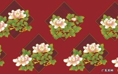 鲜芝麻叶怎么做 黑芝麻提升胆固醇吗