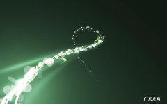 电气石汗蒸好还是纳米汗蒸好 红外线光波汗蒸房家用哪种好