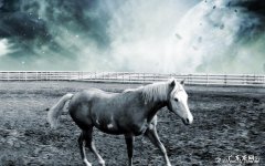 买回来的虹鳟鱼为什么肉的颜色不是橘黄色 虹鳟鱼肉是红色的吗