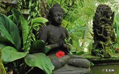 男性每晚100个深蹲有什么好处 深蹲壮阳正确姿势