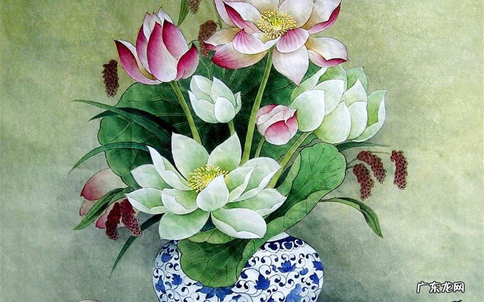 孕妇血糖高可以喝花生白菜粥吗 孕妇血糖高吃什么稀饭