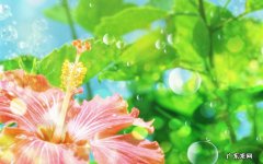 精索静脉曲张危害大吗 精索静脉曲张能等