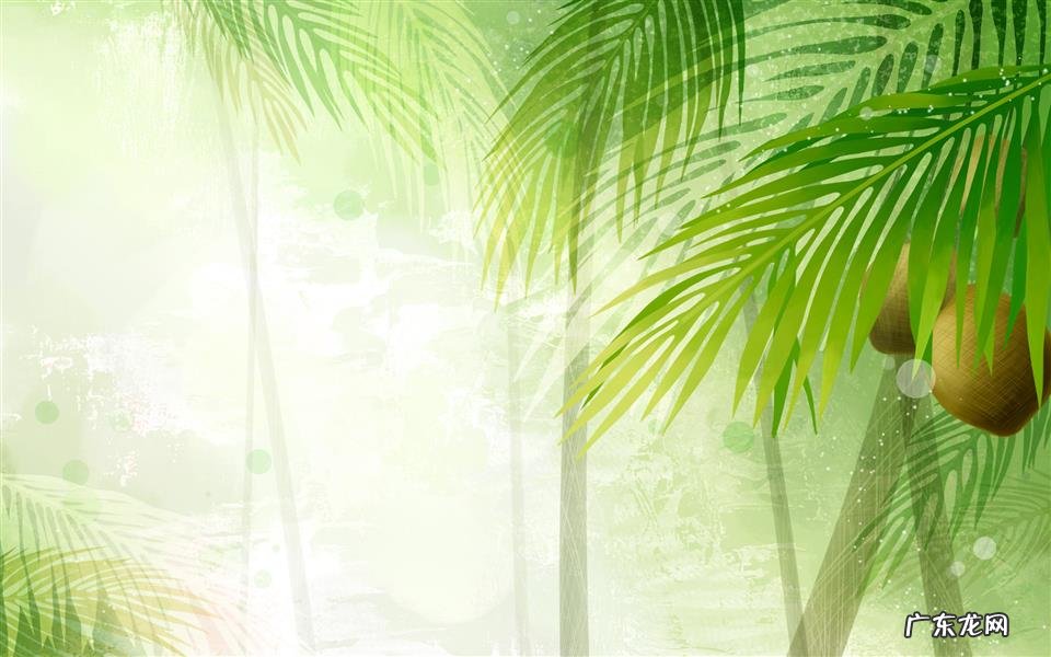 肠胃不好吃什么比较好 胃不好的人吃什么养胃菜谱