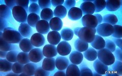怎么才能在两个星期内瘦十斤 汗蒸有情侣包厢吗