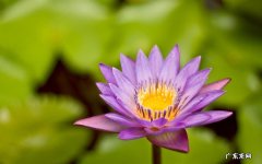 风湿病的症状表现是什么 风湿病有哪些症状表现出来