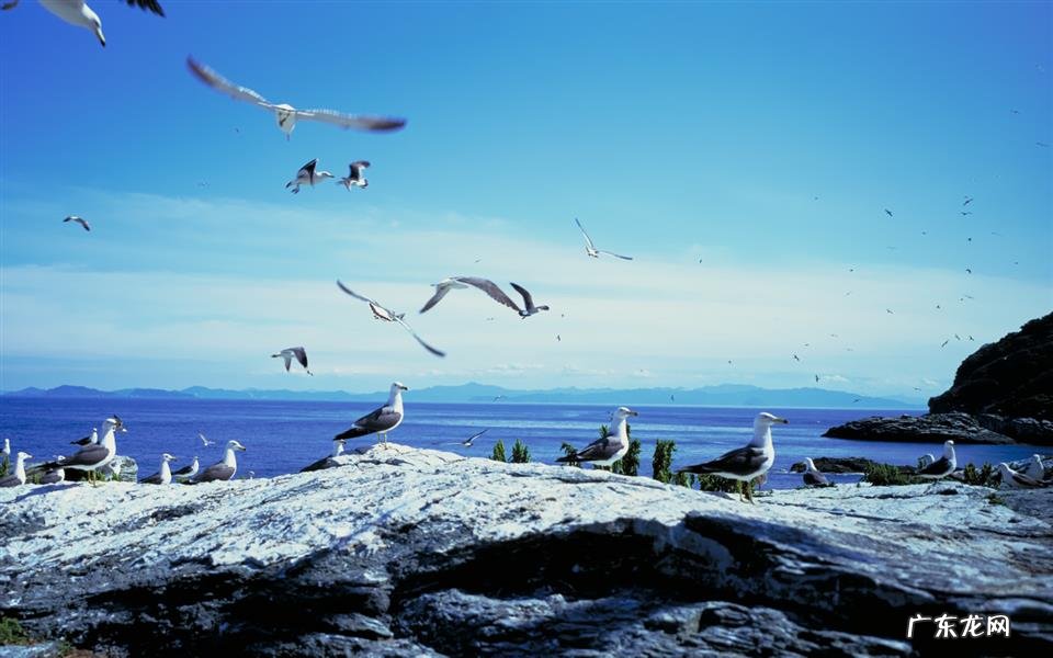 如何防止银屑病的复发 尿酸650多久能得尿毒症